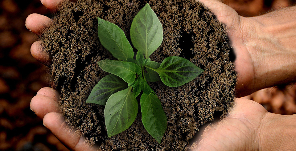 ?？菩略垂緲s獲國新杯·ESG金牛獎碳中和二十強